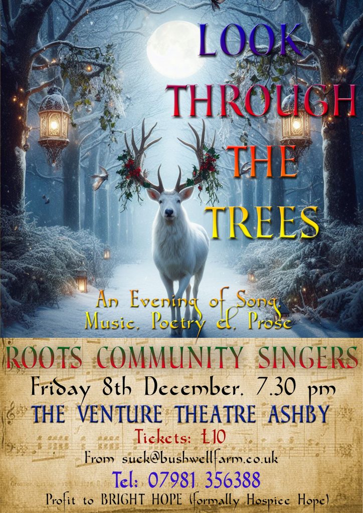 Look Through The Trees folk concert